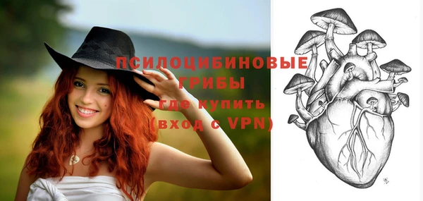 соль курить ск Богданович