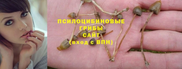 герыч Богородск