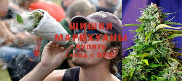 mdpv Богородицк
