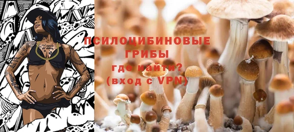 mdpv Богородицк