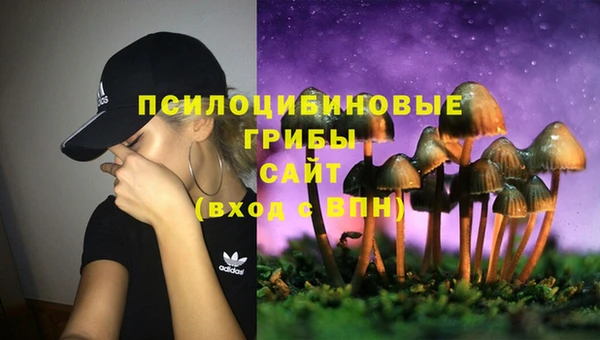 соль курить ск Богданович